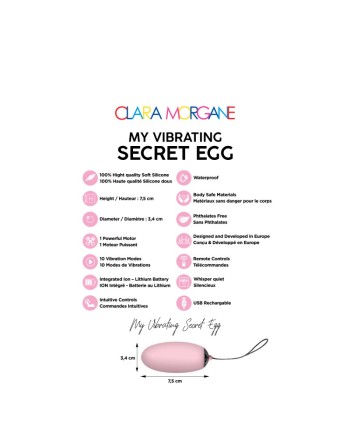 My vibrating secret egg - Rose